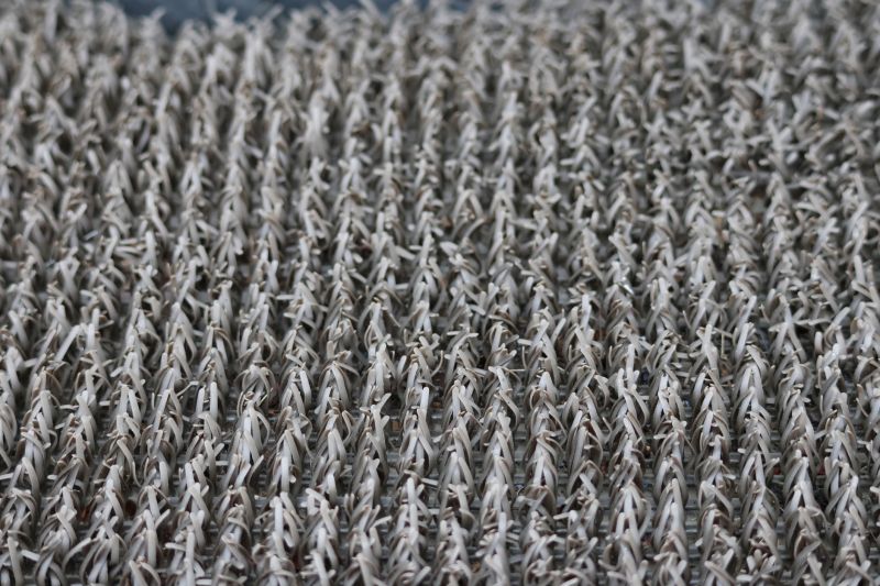 Carpet Cushion Replacement in Overland Park, KS
