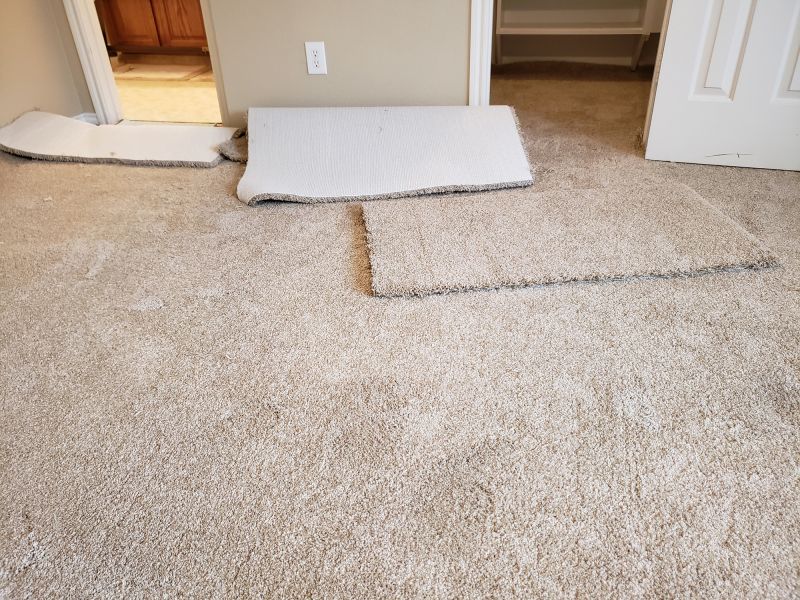 Stair Carpet Repair in Olathe, KS